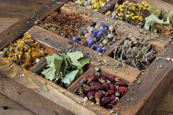 Eski bir ahşap kutu kurutulmuş şifalı bitki — Stok fotoğraf