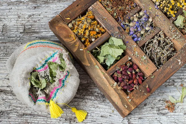 Planta medicinal seca en una vieja caja de madera —  Fotos de Stock