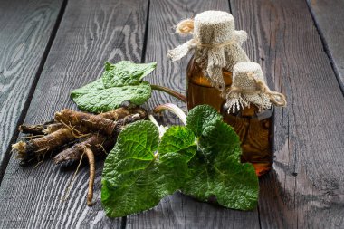 Dulavratotu bott içinde petrol kökleri ve dulavratotu (Arctium fındık) yaprakları,