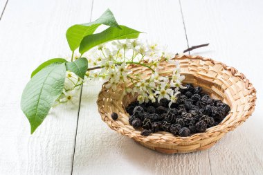 Tıbbi bitki kuş kiraz (Prunus padus)  