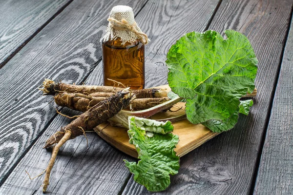 Roots and leaves of burdock (Arctium lappa), burdock oil in bott — Stock Photo, Image