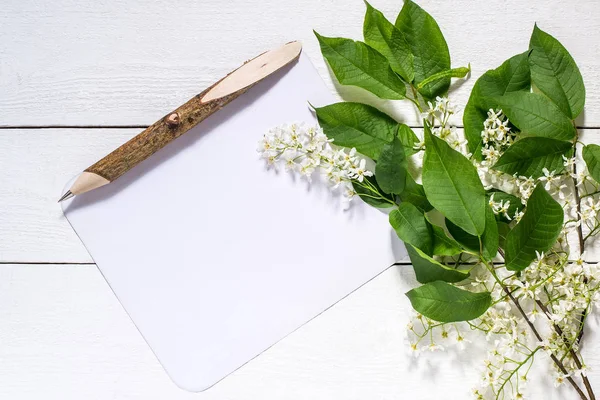 Flowering branch of bird cherry on a white wooden background — Stock Photo, Image