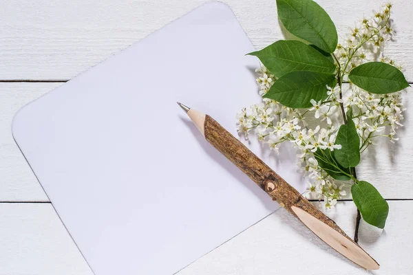 Flowering branch of bird cherry on a white wooden background — Stock Photo, Image