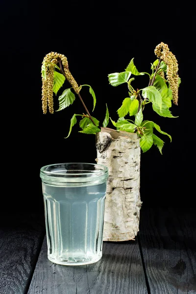 Suco de vidoeiro fresco em um copo e ramos de vidoeiro — Fotografia de Stock