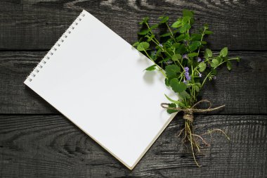 Tıbbi bitki Glechoma hederacea ve defter