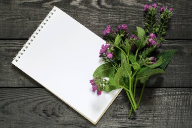 Medicinal plant comfrey (Symphytum officinale) and notebook  clipart