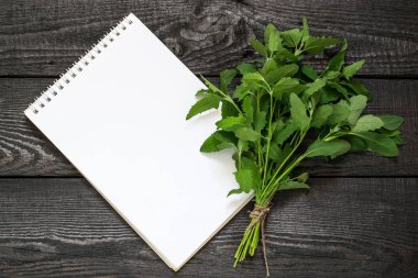 Tıbbi bitki Atriplex ve defter 