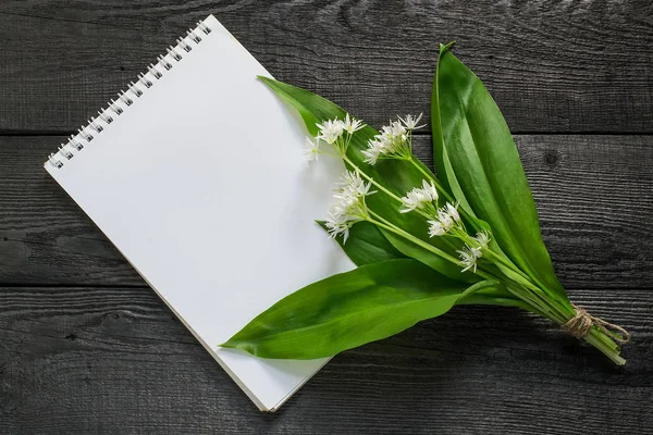 Medicinal plant ramson (allium ursinum)  and notebook — Stock Photo, Image