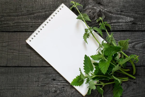 Melissa officinalis and notebook — Stock Photo, Image