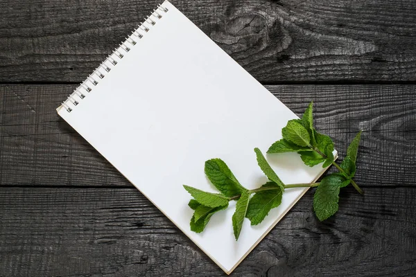 Mint (Mentha spicata) and notebook — Stock Photo, Image