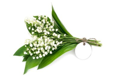 Tıbbi bitki lily vadi (convallaria majalis) 