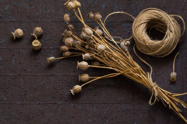 Tohumları ile kuru haşhaş kapsül 