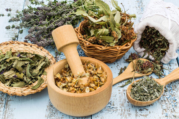 Various meadow herbs 