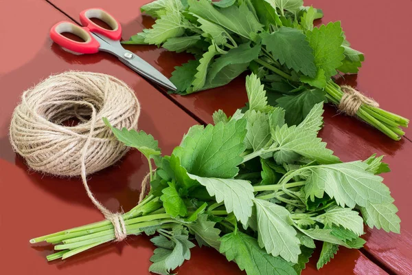 Binding van melissa officinalis in bundels — Stockfoto