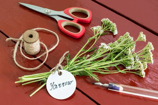 Δέσμη των yarrow (achillea millefolium) με ετικέτα — Φωτογραφία Αρχείου