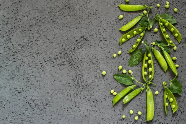 Green peas on branches in pods — Stock Photo, Image