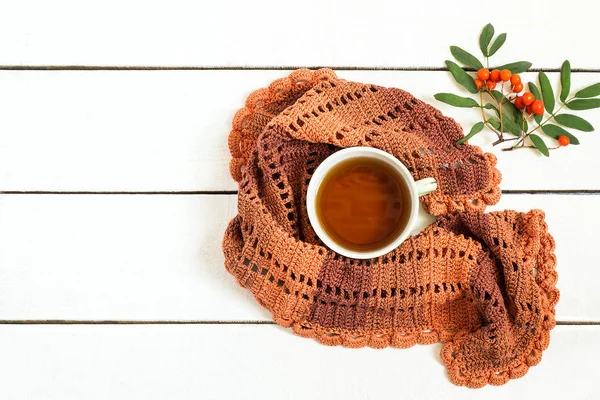 Kopp te, stickad halsduk och rönnbärs gren — Stockfoto