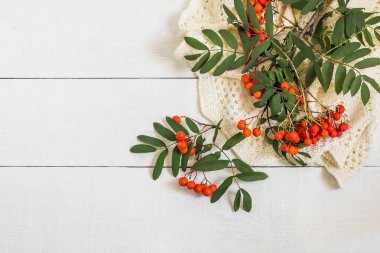 Olgunlaşmış üvez ve beyaz örme eşarp dalı 