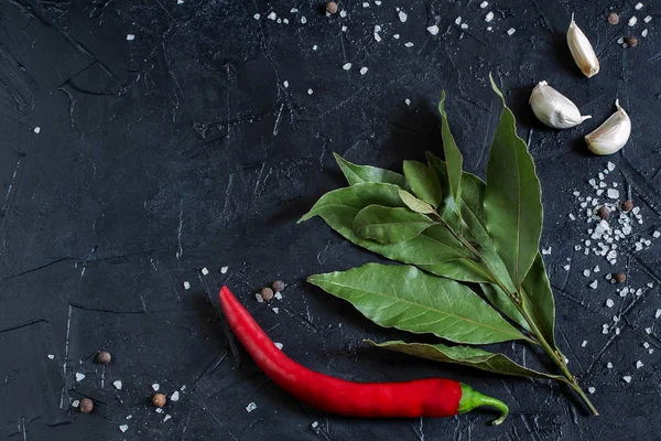 Lagerblad, chilipeppar, vitlök, havssalt och allkrydda — Stockfoto