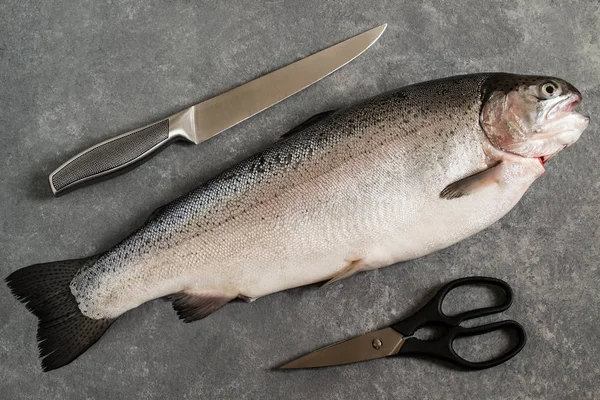 Великий свіжий лосось, ніж і ножиці для різання — стокове фото