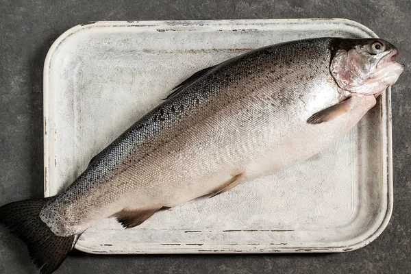 Великий свіжий лосось на старому білому лотку — стокове фото