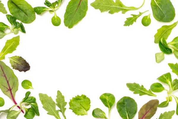 Рамка из различных листьев салата на белом фоне — стоковое фото