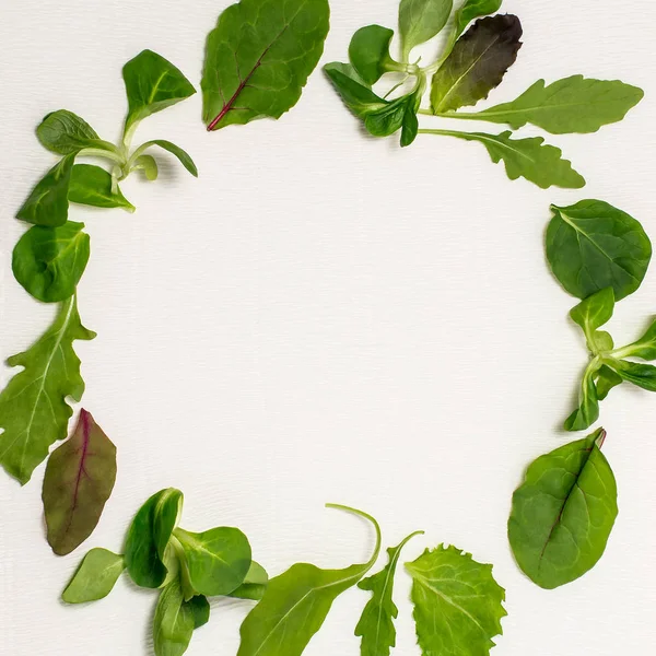 Круглая рамка из различных листьев салата на белом фоне — стоковое фото