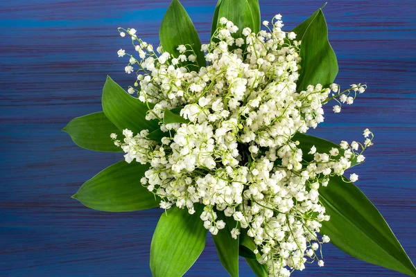 Bouquet of lily of the valley on blue background