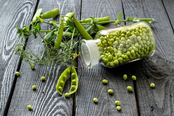 Yeşil bezelye kavanoza ve dallar bakla — Stok fotoğraf