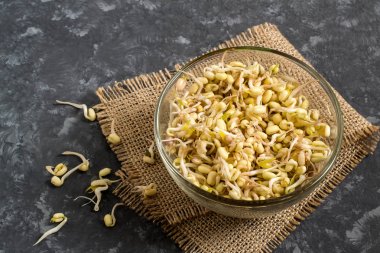 Gri arka plan üzerinde cam kapta taze mung fasulye filizi 