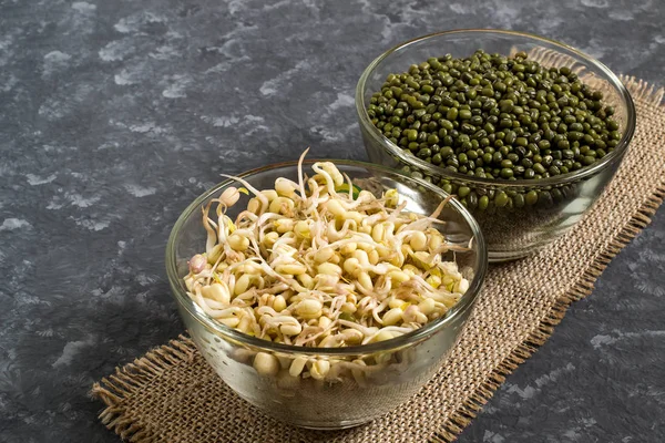 新鮮なもやしとガラス鉢の乾燥緑豆 — ストック写真