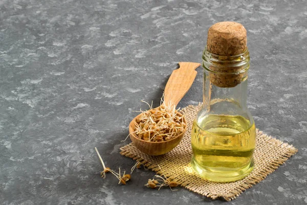 Fresh sprouted wheat seeds and wheat germ oil — Stock Photo, Image