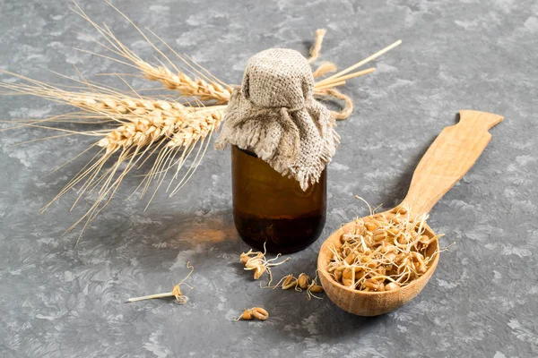 Свежие семена пшеницы и масло зародышей пшеницы — стоковое фото