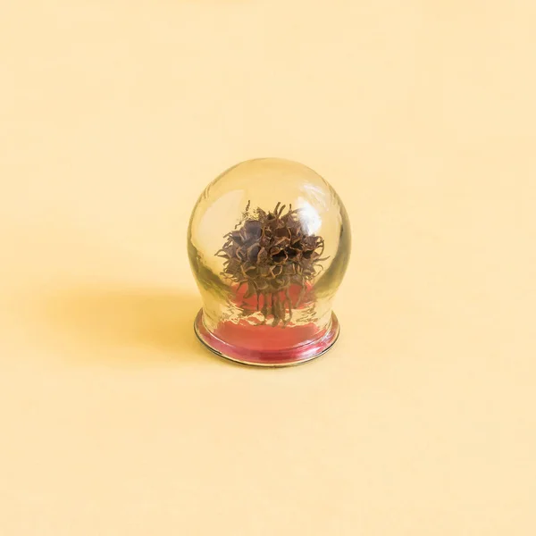 Medical cupping glass with spiny sweetgum balls inside on pastel yellow background. Minimalist style, imagination and fantasy. Creative idea of pain relief, relaxation, recovery