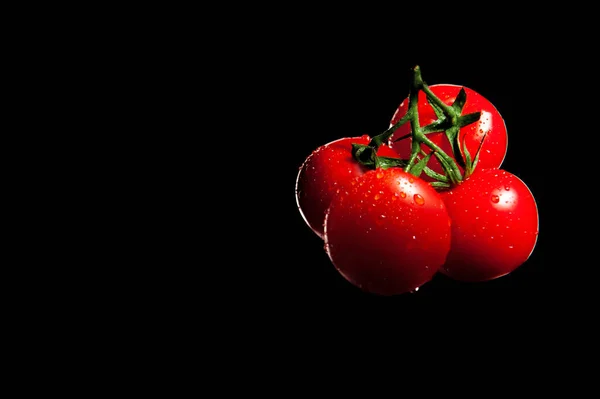 Pomodori ciliegia con goccioline d'acqua su fondo nero — Foto Stock