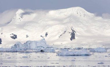 Antarktika kıyısında