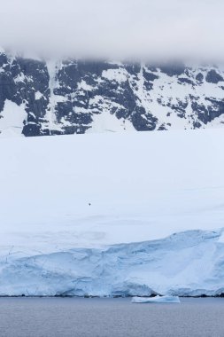 Antarktika kıyısında