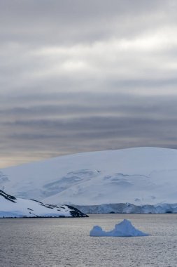 Antarktika kıyısında