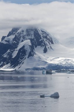 Antarktika kıyısında