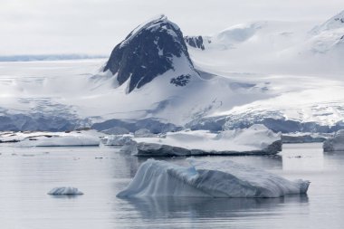 Antarktika kıyısında