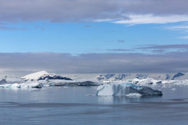 Antarktika kıyısında