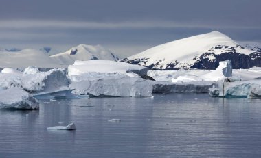 Antarktika kıyısında