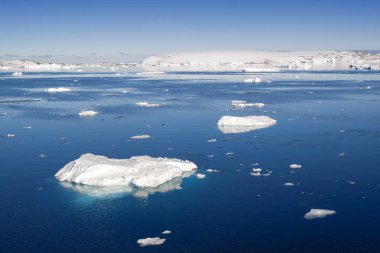 Coast of Antarctica clipart