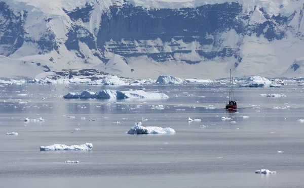 남극 대륙의 해안 — 스톡 사진