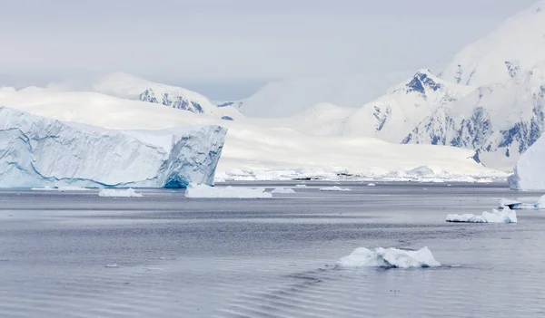 Côte de l'Antarctique — Photo