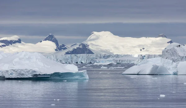 Costa Antártica — Foto de Stock