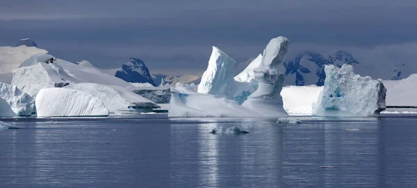 Coast of Antarctica — Stock Photo, Image