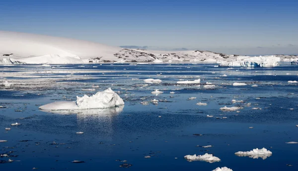 Costa Antártica — Foto de Stock