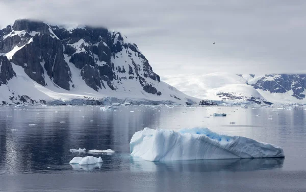남극 대륙의 해안 스톡 사진