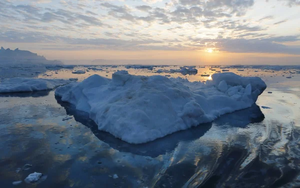 Icebergs de différentes formes et tailles . — Photo